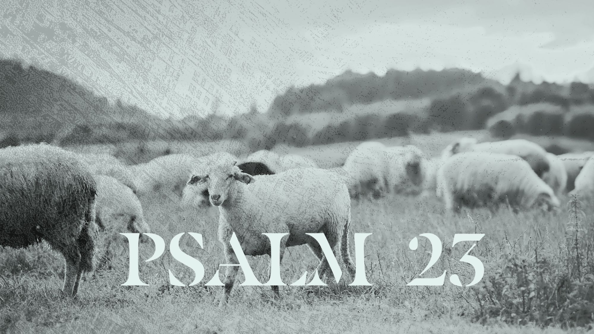 Psalm 23 Sermon Slide