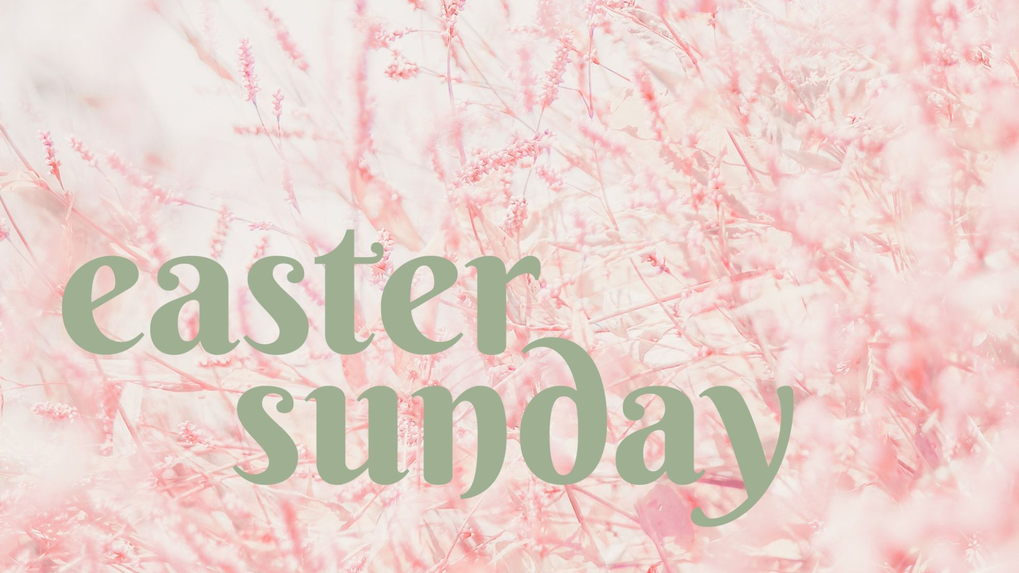 Easter website