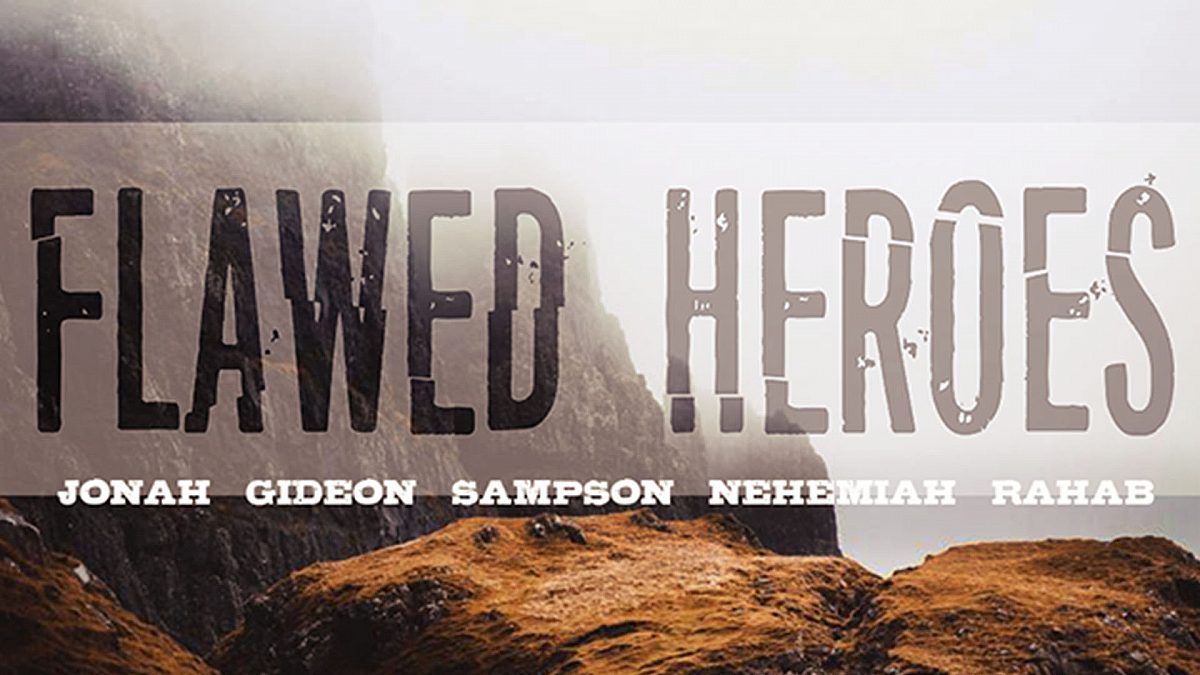 Flawed Heroes Series