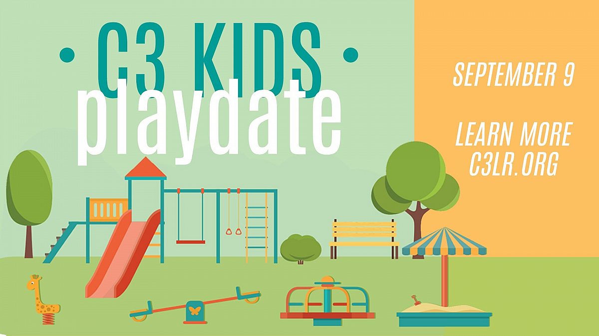 Playdate Slide NEW